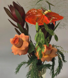 Compliment flower picture