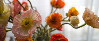bouquet of flowers
