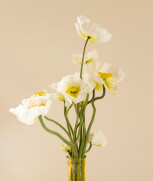 Flower picture 
