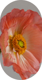 hero__flower